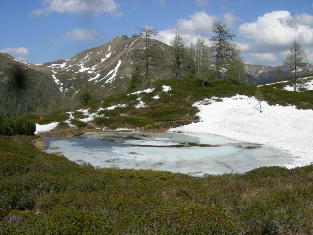 Laghi.......del TRENTINO